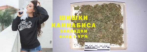 шишки Алзамай