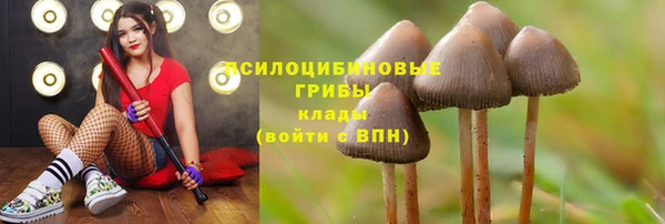 амфетамин Алексин