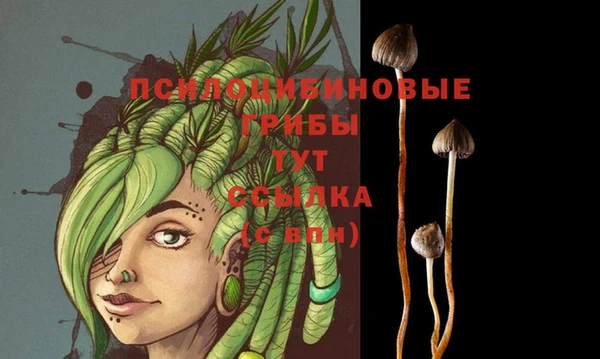 дмт Алексеевка
