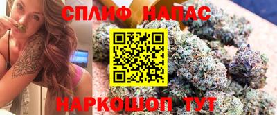 2c-b Новозыбков