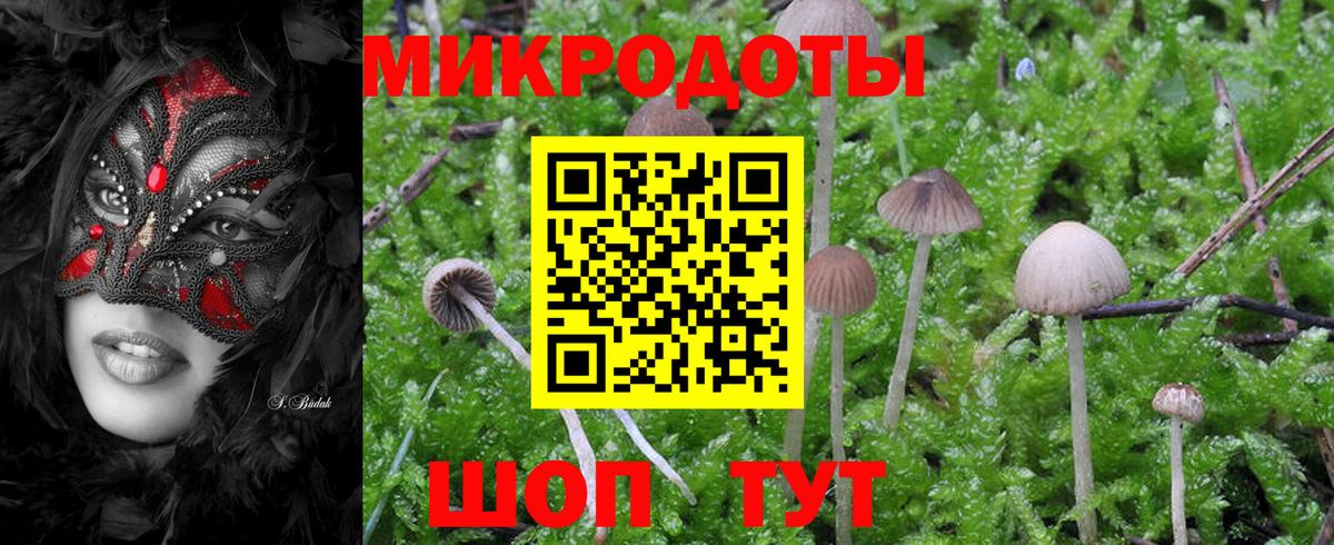Галлюциногенные грибы Psilocybine cubensis  Вход с VPN  Соликамск 